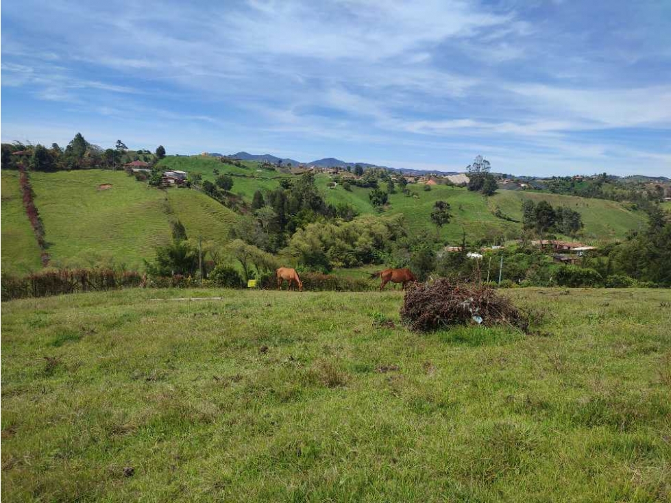 Lote en venta Carmen de víboral Alto grande. — foto 3