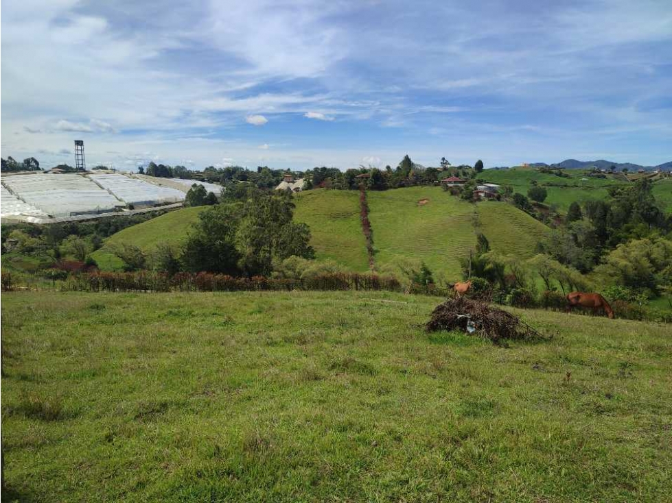 Lote en venta Carmen de víboral Alto grande. — foto 4