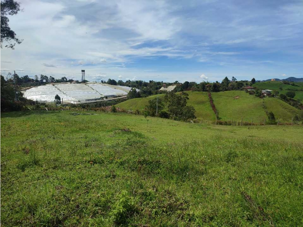 Lote en venta Carmen de víboral Alto grande. — foto 5