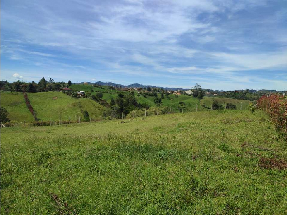 Lote en venta Carmen de víboral Alto grande.