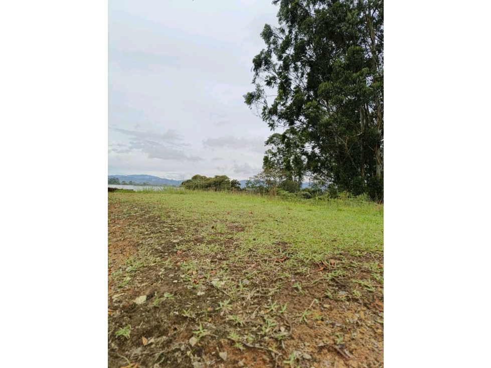 LOTE EN VENTA CARMEN DE VIBORAL