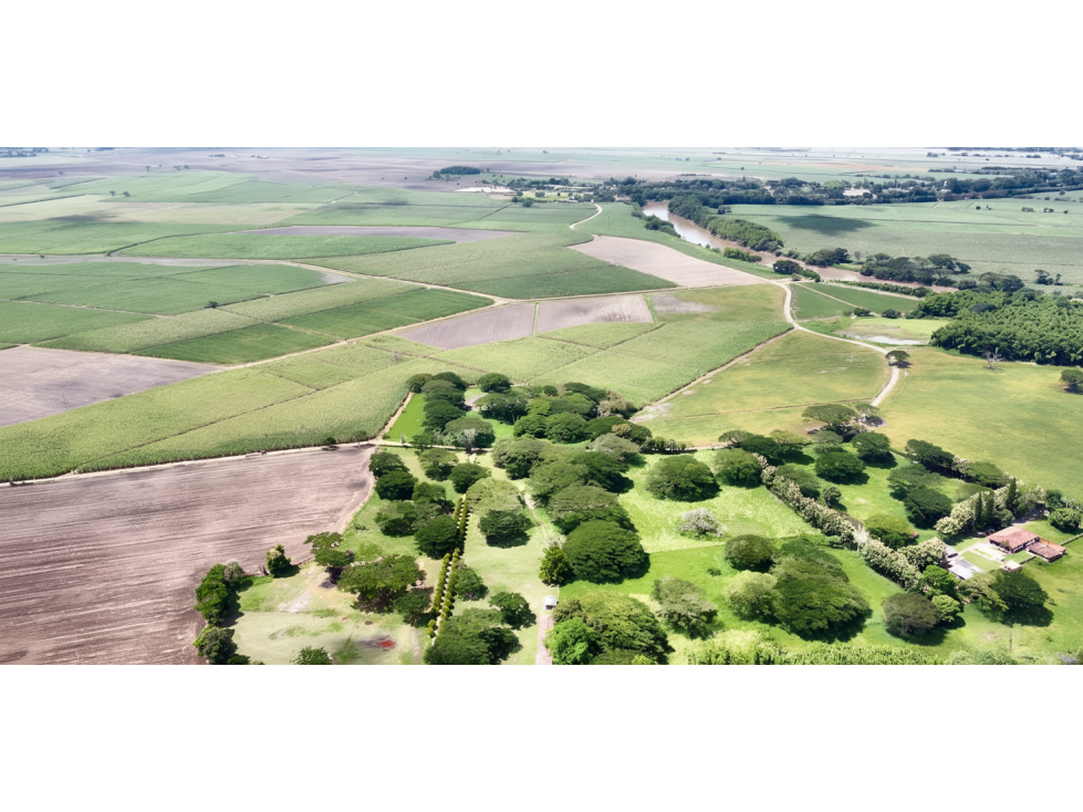 Lote en venta - Cartago