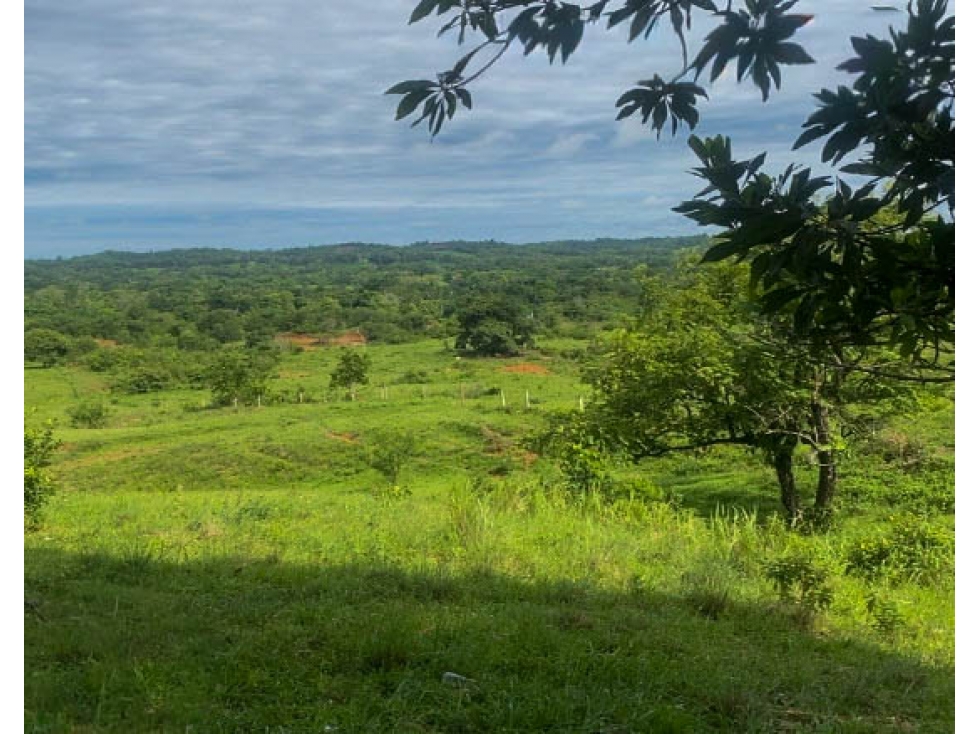 Lote en venta - Cáceres, Antioquia