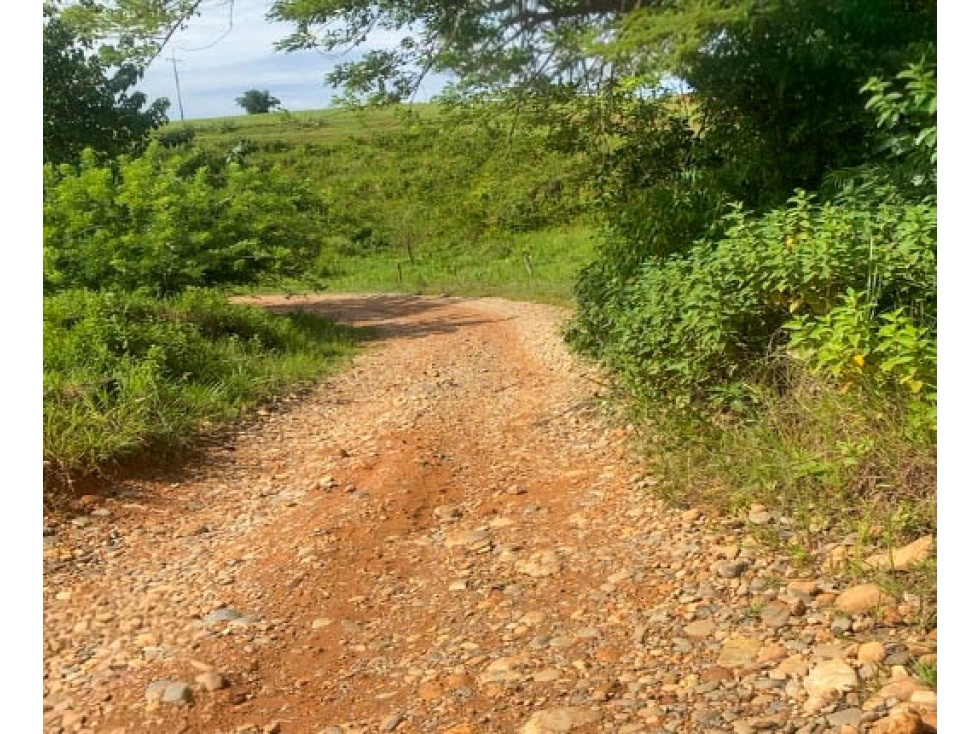 Lote en venta - Cáceres, Antioquia — foto 2