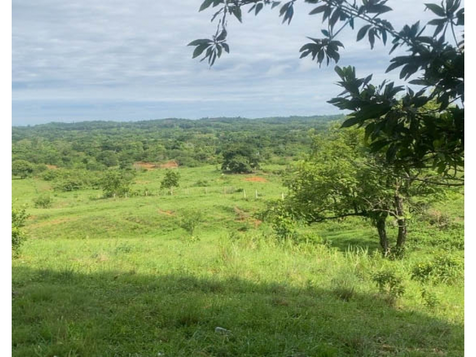 Lote en venta - Cáceres, Antioquia — foto 5