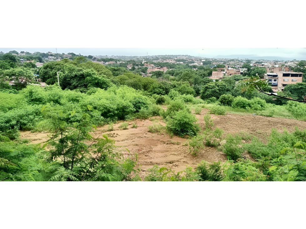 Lote en venta - Cúcuta