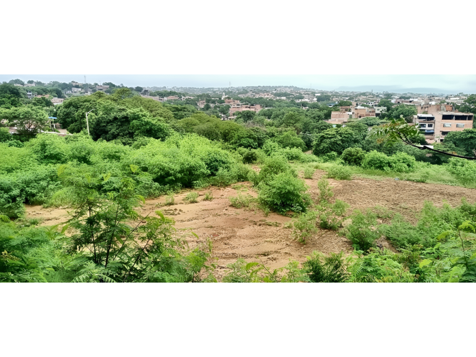 Lote en venta - Cúcuta