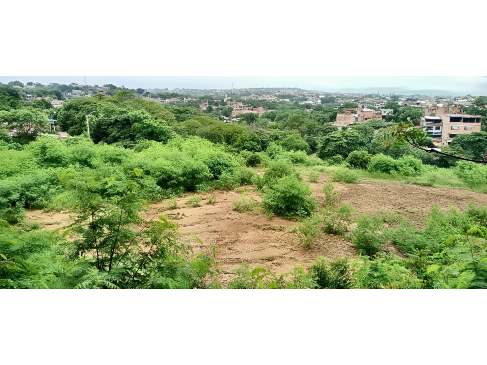Lote en venta - Cúcuta