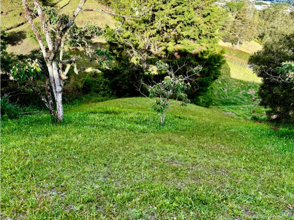 Lote en Venta cerca a Aeropuerto hermosa vista — foto 3