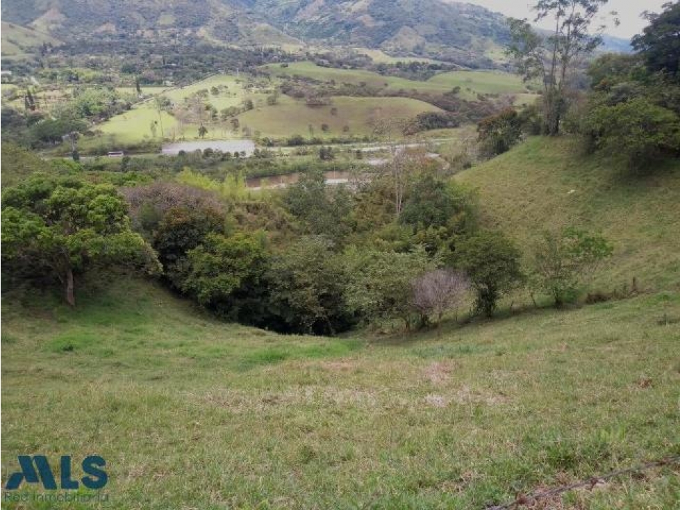 Lote en venta cerca a Medellín.(MLS#243181) - 3