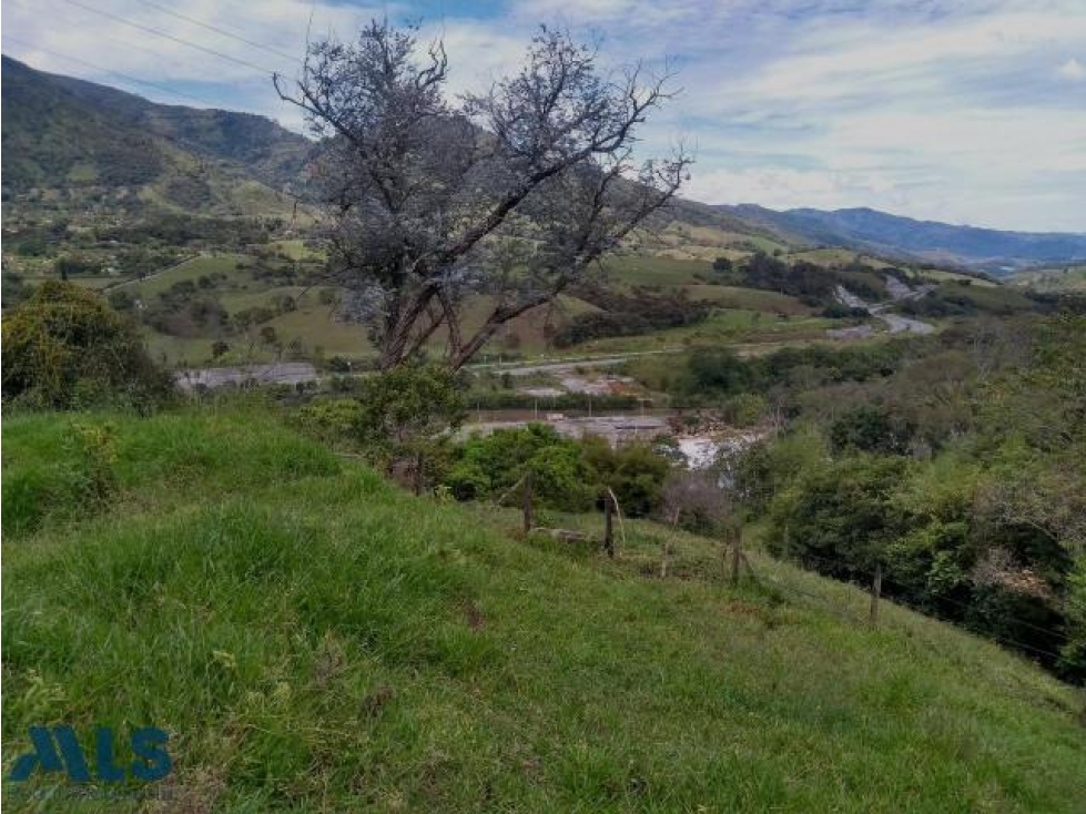 Lote en venta cerca a Medellín.(MLS#243181) - 5