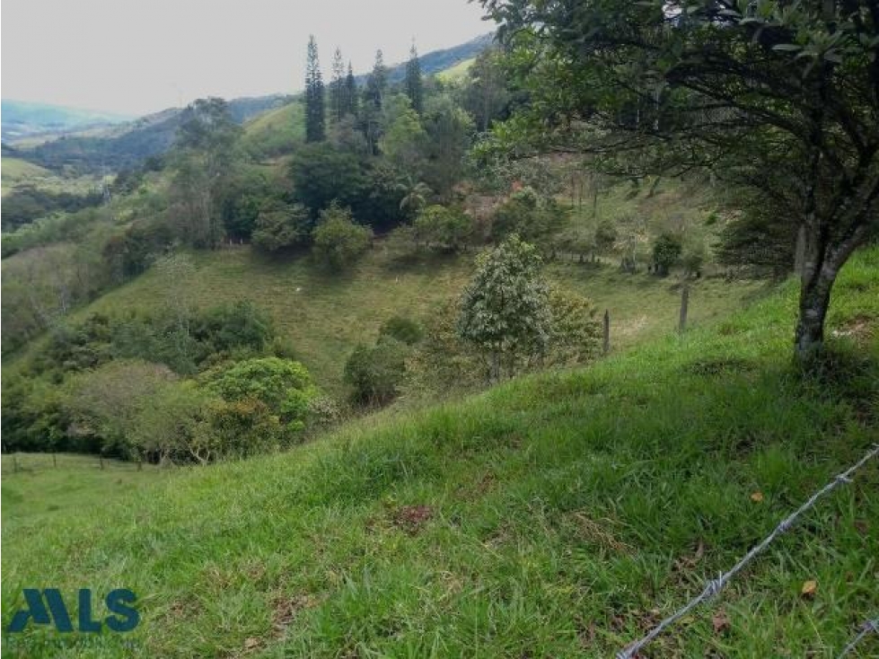 Lote en venta cerca a Medellín.(MLS#243181) - 6