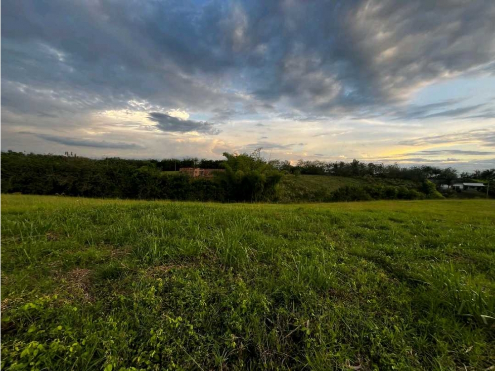 Lote en venta Cerritos Pereira