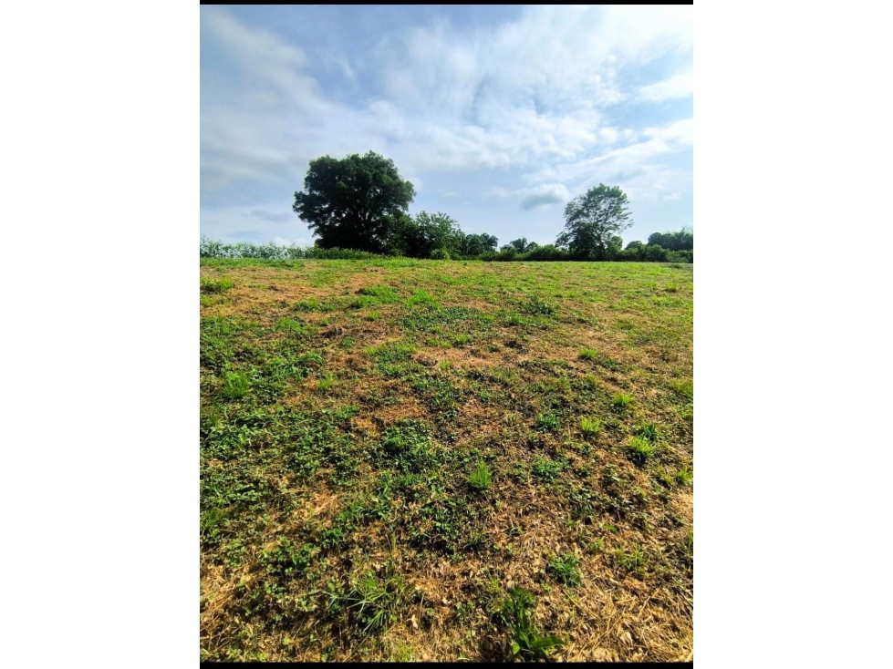 LOTE EN VENTA CERRITOS SECTOR LOS PLANES