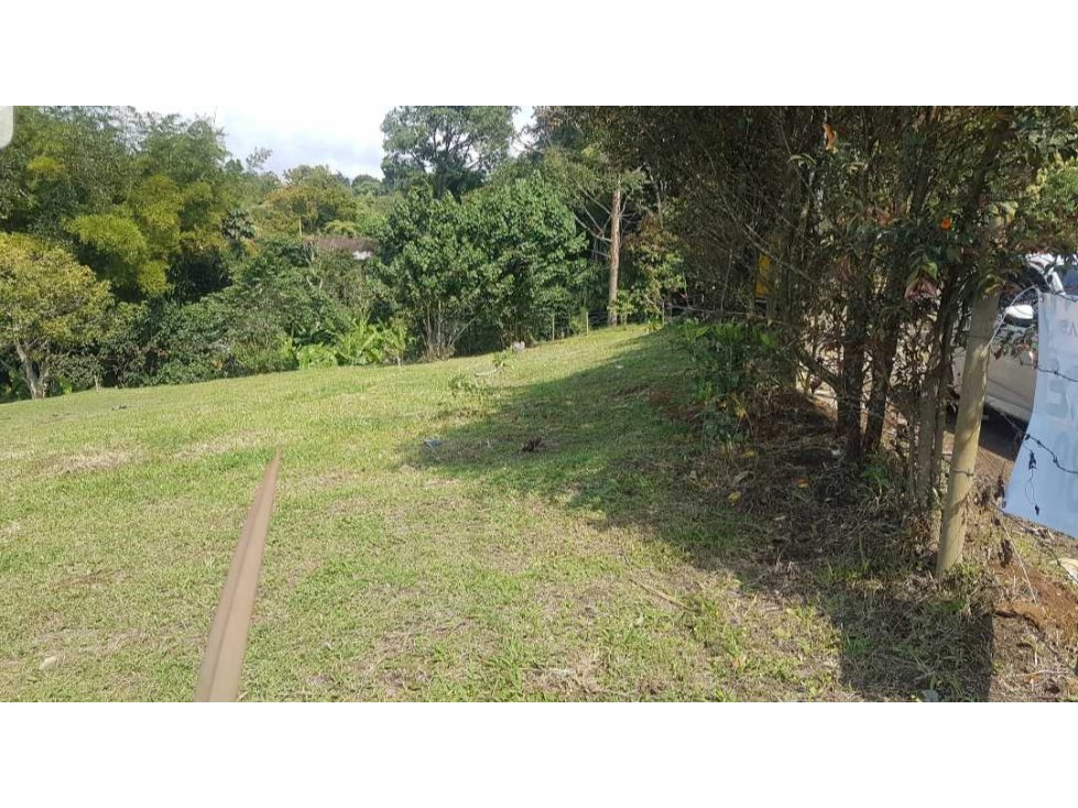 LOTE EN VENTA CON EXCELENTE UBICACIÓN VEREDA QUIRAMA EL CARMEN DE VÍB.