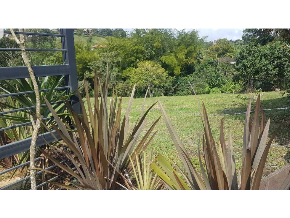 LOTE EN VENTA CON EXCELENTE UBICACIÓN VEREDA QUIRAMA EL CARMEN DE VÍB. — foto 2