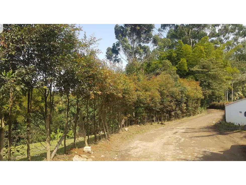 LOTE EN VENTA CON EXCELENTE UBICACIÓN VEREDA QUIRAMA EL CARMEN DE VÍB. — foto 4