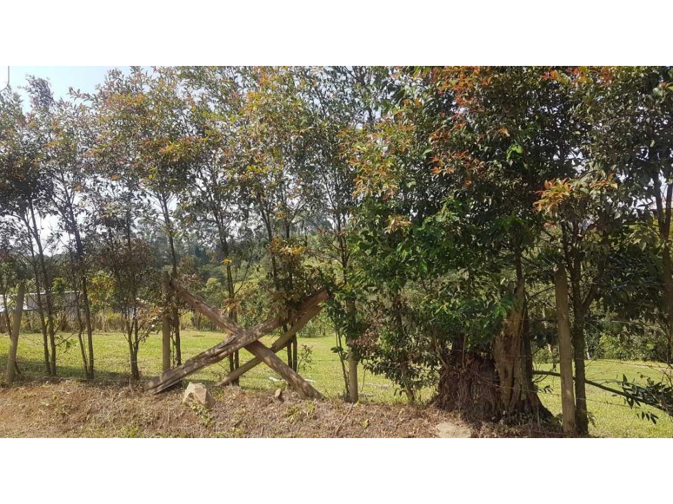 LOTE EN VENTA CON EXCELENTE UBICACIÓN VEREDA QUIRAMA EL CARMEN DE VÍB. — foto 5