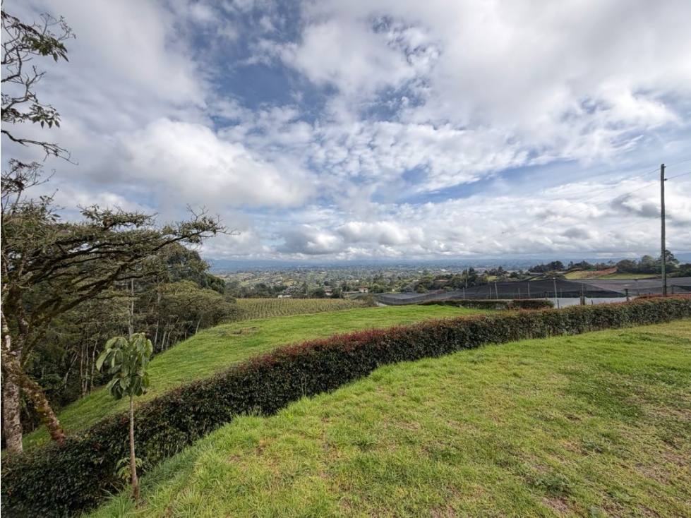 LOTE EN VENTA CON VISTA AL VALLE DE SAN NICOLAS - SECTOR EL CANADÁ... - 3
