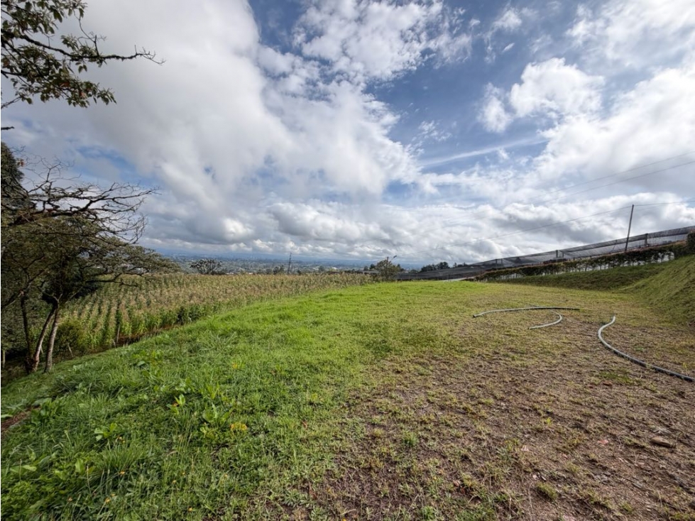 LOTE EN VENTA CON VISTA AL VALLE DE SAN NICOLAS - SECTOR EL CANADÁ... - 5
