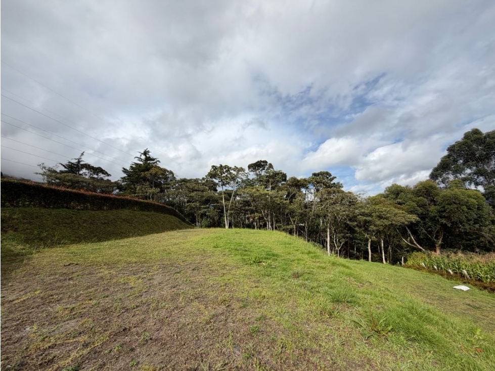 LOTE EN VENTA CON VISTA AL VALLE DE SAN NICOLAS - SECTOR EL CANADÁ... - 6