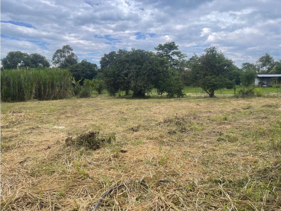Lote en venta Condominio campestre La Acuarela - La Buitrera Palmira — foto 5