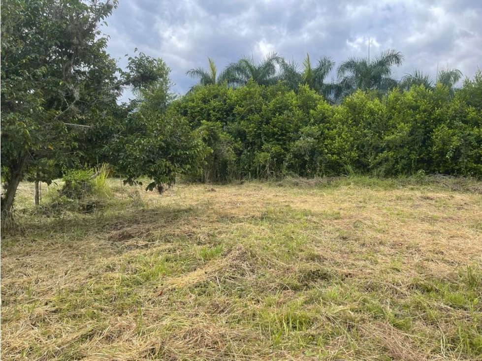 Lote en venta Condominio campestre La Acuarela - La Buitrera Palmira — foto 4