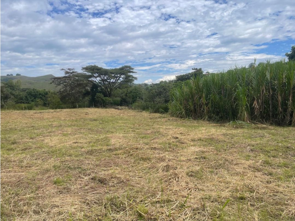 Lote en venta Condominio campestre La Acuarela - La Buitrera Palmira — foto 6