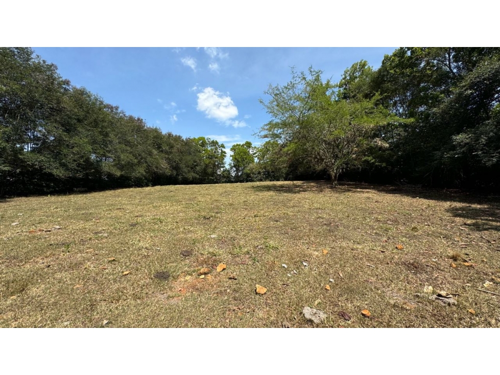 Lote en venta condominio Lagos de Maracaibo Tienda Nueva Palmira Valle - 1