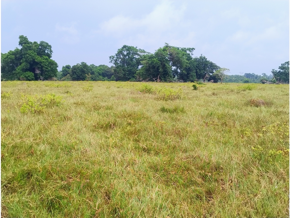 Lote en Venta - Córdoba, Buenavista - 2