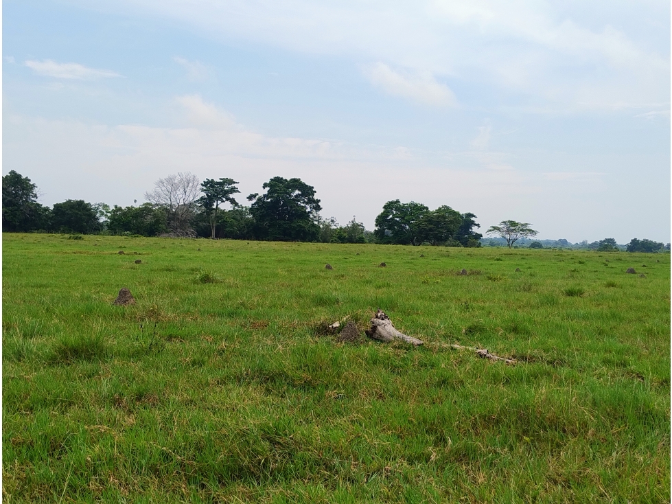 Lote en Venta - Córdoba, Buenavista - 5