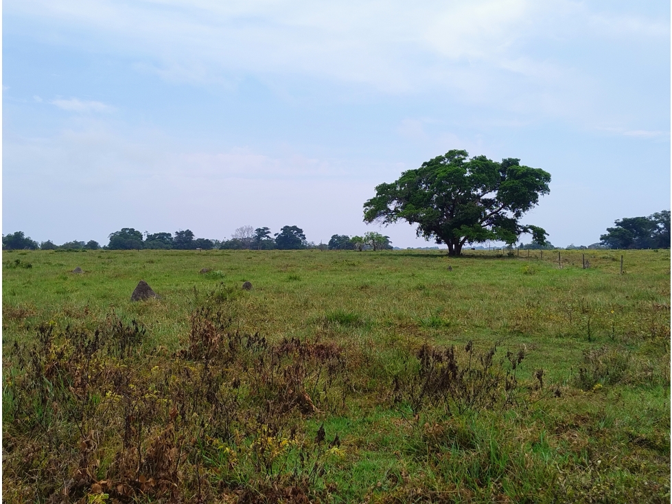 Lote en Venta - Córdoba, Buenavista - 6