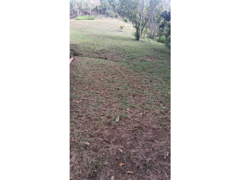 LOTE EN VENTA DAGUA VALLE VEREDA VILLA HERMOSA — foto 2