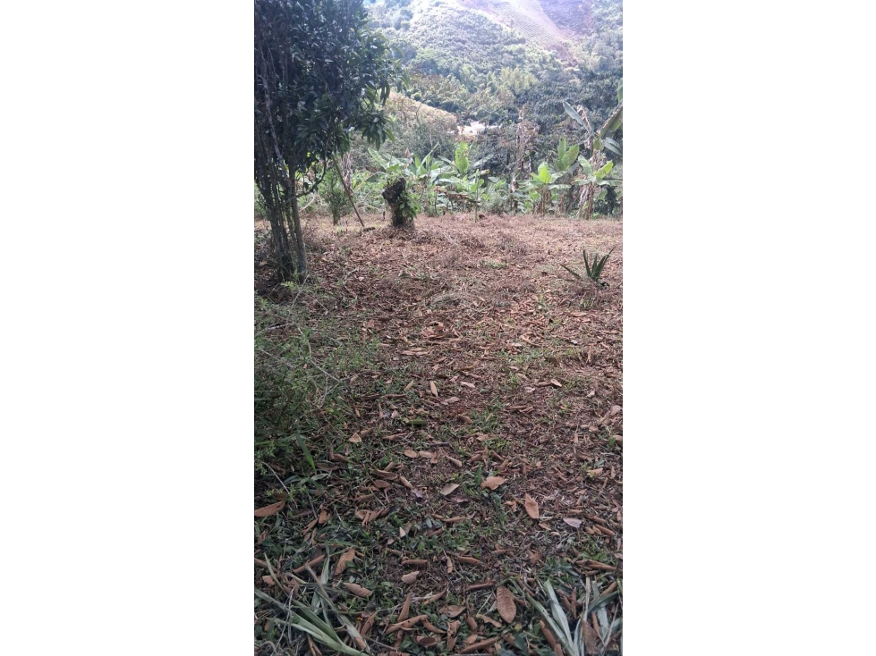 LOTE EN VENTA DAGUA VALLE VEREDA VILLA HERMOSA — foto 3