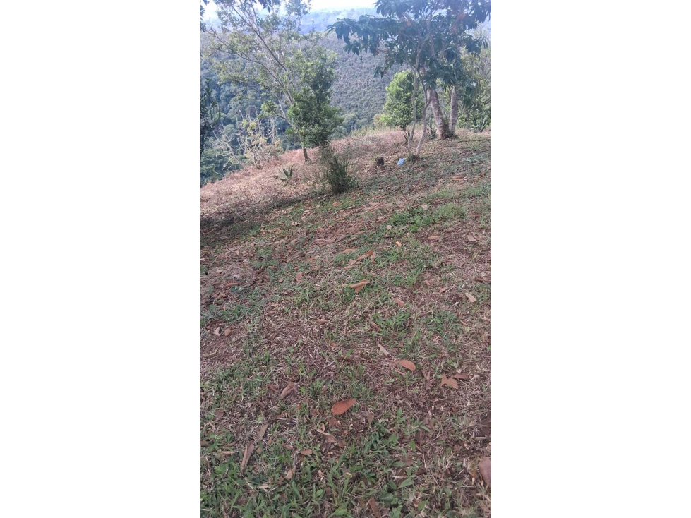 LOTE EN VENTA DAGUA VALLE VEREDA VILLA HERMOSA — foto 4