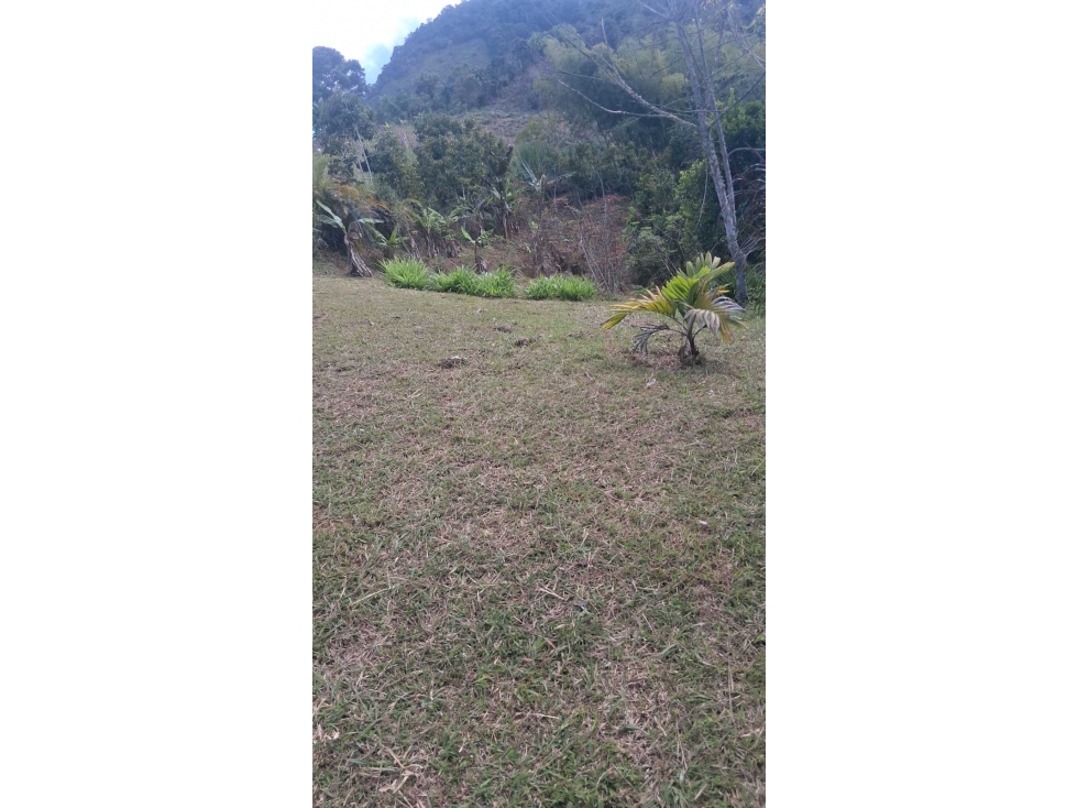 LOTE EN VENTA DAGUA VALLE VEREDA VILLA HERMOSA — foto 5
