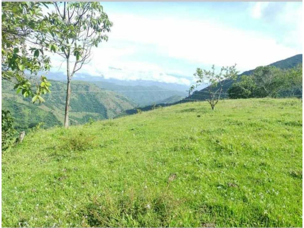 Lote en venta de 20 Hectáreas San Jerónimo - Antioquia - 2