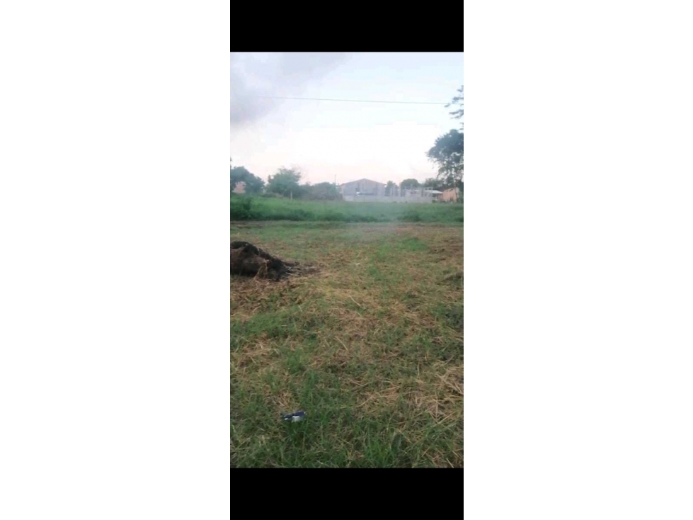 LOTE EN VENTA DETRAS DE LA PESQUERA EN MONTERIA — foto 2