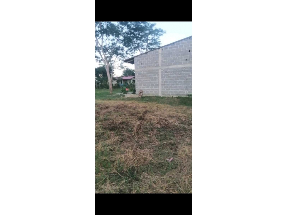 LOTE EN VENTA DETRAS DE LA PESQUERA EN MONTERIA — foto 3