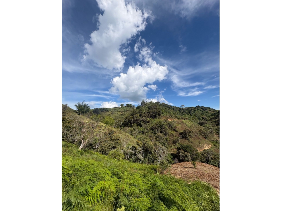 LOTE EN VENTA - EL PEÑOL - 3