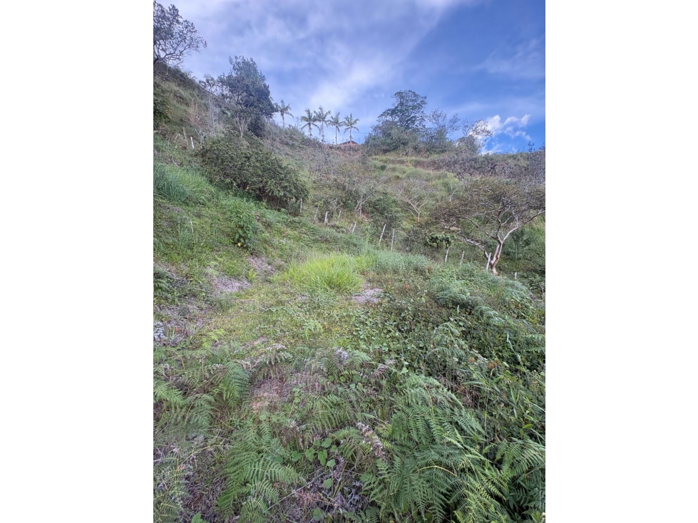 LOTE EN VENTA - EL PEÑOL - 4