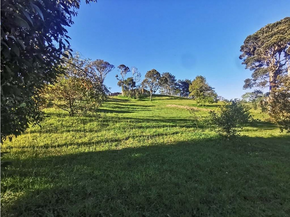 Lote en venta El Retiro. Con topografía tendida — foto 2