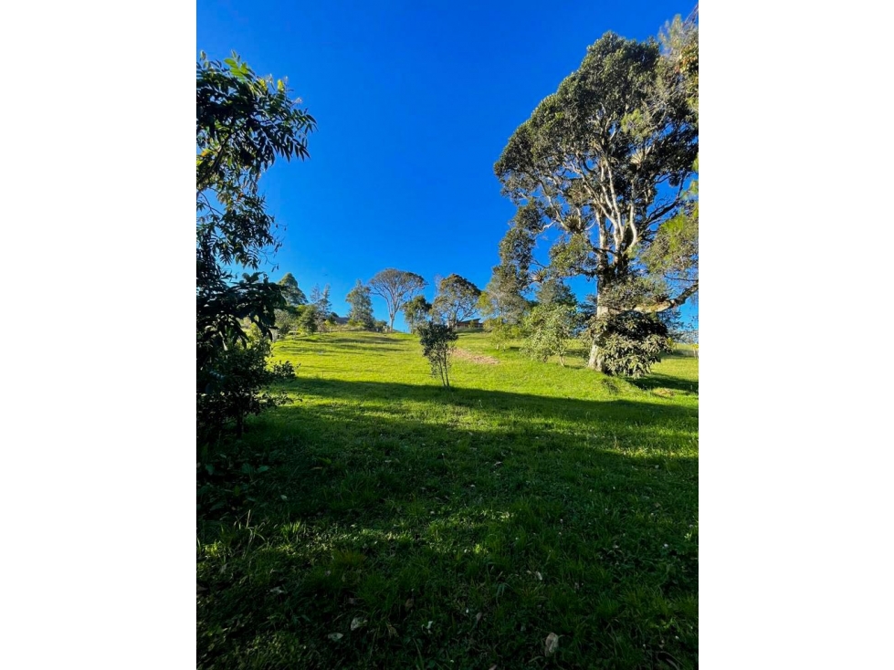 Lote en venta El Retiro. Con topografía tendida — foto 3