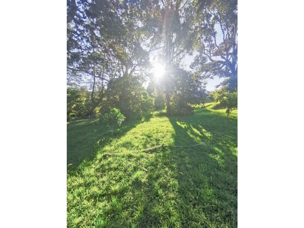 Lote en venta El Retiro. Con topografía tendida — foto 5