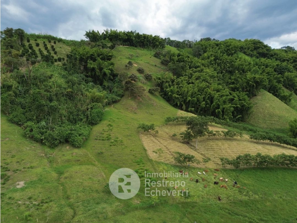 Lote en venta, El Rosario, Manizales