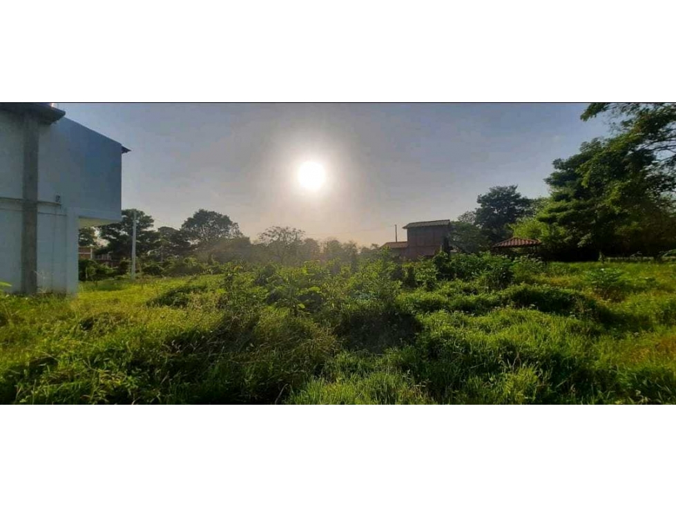 LOTE EN VENTA EN ARBOLETES - 2