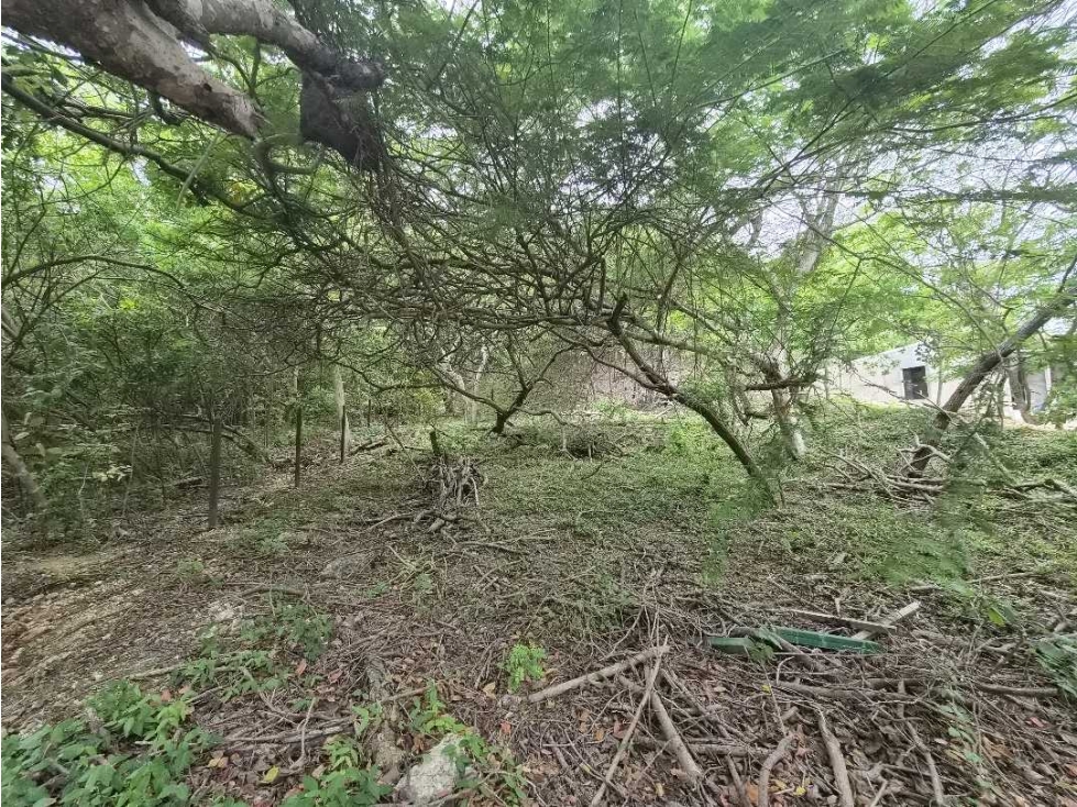 Venta Lote en Caujaral