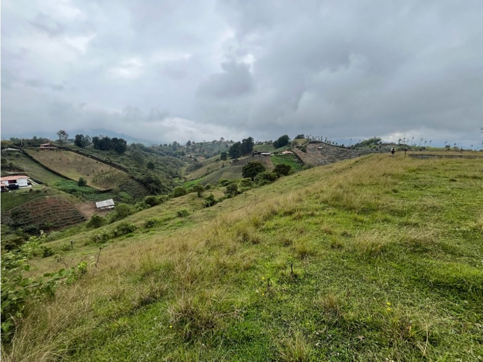 LOTE EN VENTA EN CARMEN DE VÍBORAL VEREDA ALTO GRANDE — foto 4