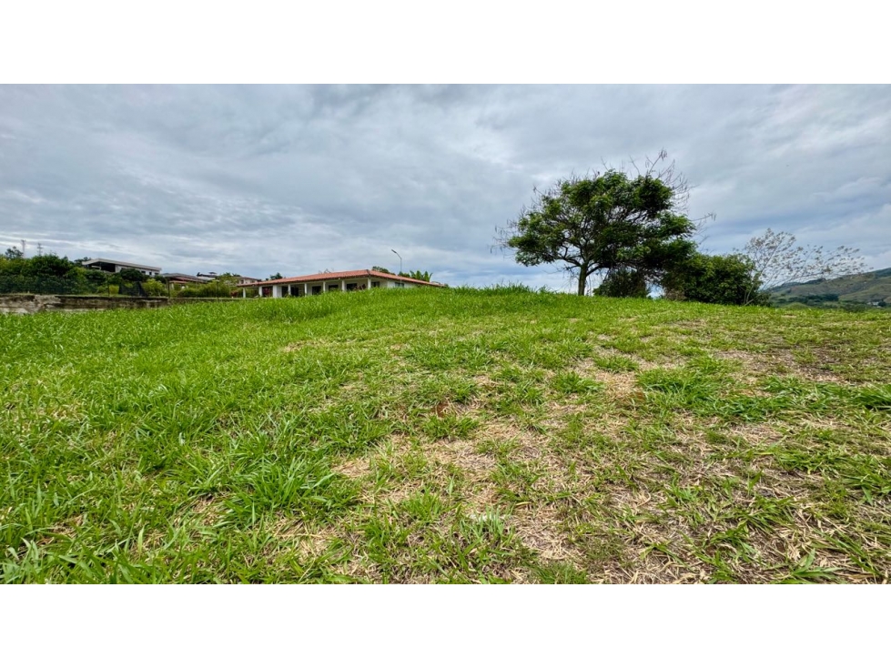 Lote esquinero en venta condominio campestre La Buitrera Palmira Valle