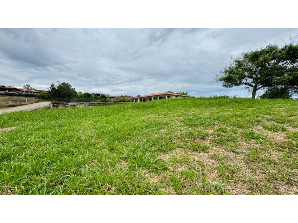 Lote esquinero en venta condominio campestre La Buitrera Palmira Valle — foto 4